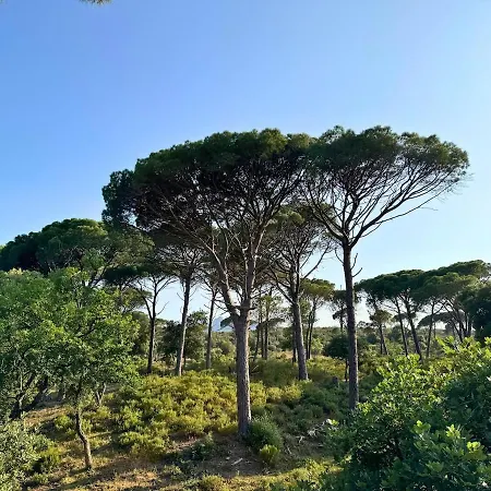 De Charme Avec Piscine Chauffee & Nature