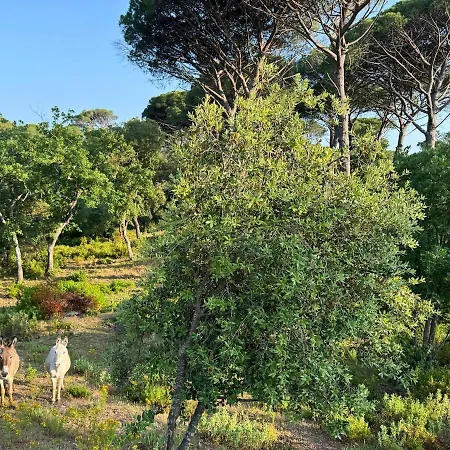 De Charme Avec Piscine Chauffée&nature Villa